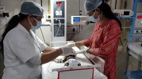 Newborn Interred Alive in India Struggles for Survival